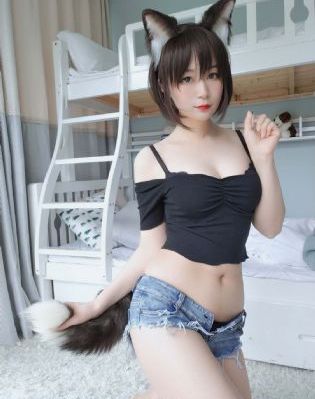 免费电视网