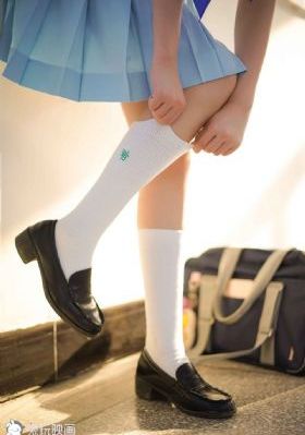 理智派生活电视剧免费观看完整版