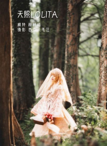 女人的世界