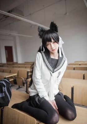 少帅 电视剧