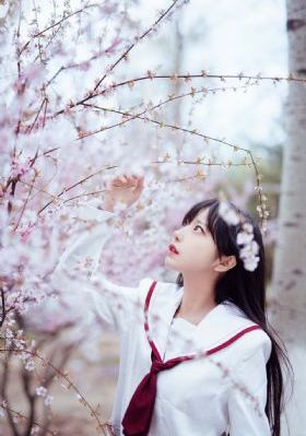 朋友的姐姐中字